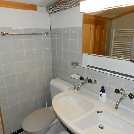 Guex Appartement-fewo- Dusche Oder Bad- Wc 5-bettwohnung By Interhome * Saanen